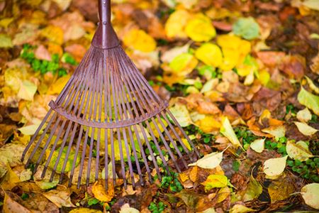 Fall cleaning checklist