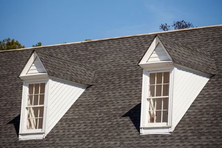 Roof streak cleaning