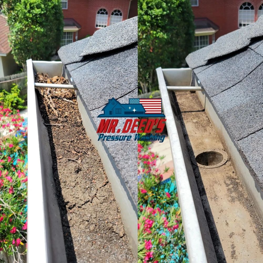 Gutter cleaning